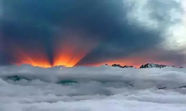 1699330441560187.jpeg mmexport87b956c643a45c849a725de145d80543_1699329.jpeg