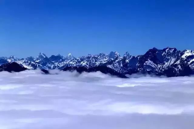 1699331141539575.jpeg mmexport02ed11b4a3e2736165a497654231a999_1699329.jpeg