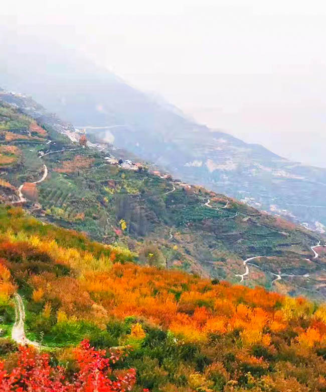 1700733582631534.jpeg mmexport32a1e77d6b70dbca916b49cb6ee3db2a_1700713.jpeg