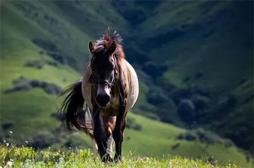 1725414188597582.jpg 640 (2).jpg