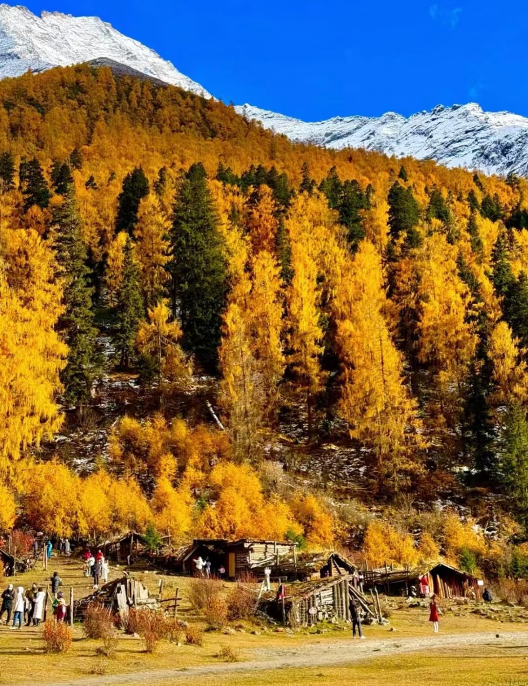 1730517092746687.jpeg mmexport1730516329732_VnJhqHJ61U.jpeg