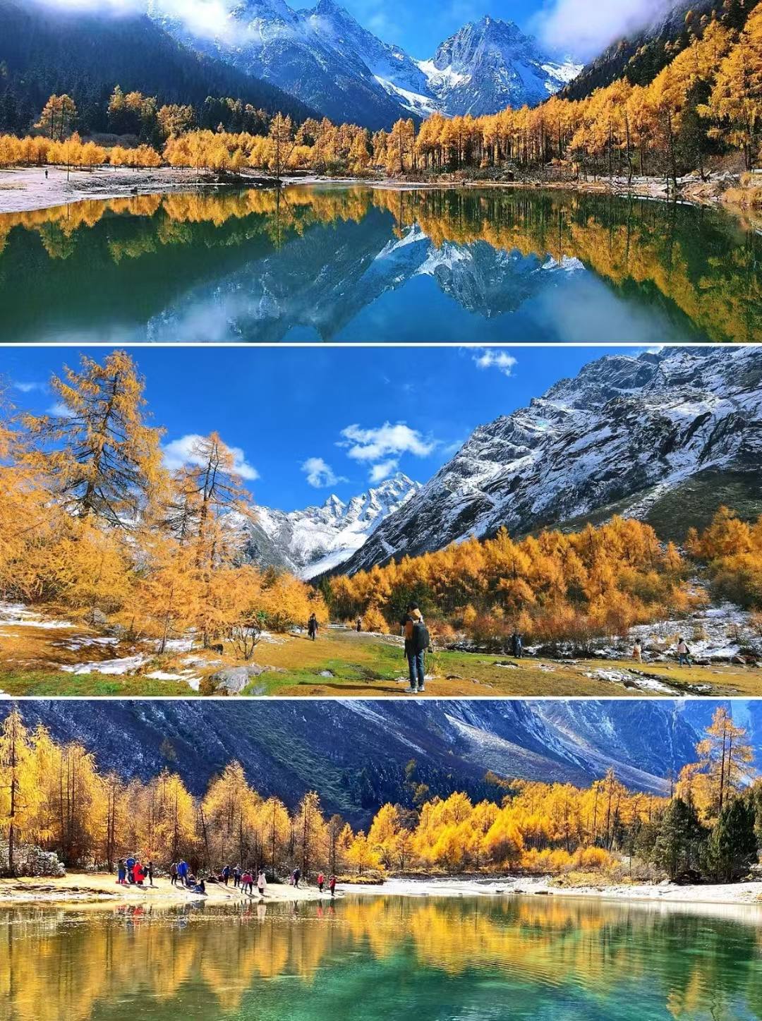 1730517116384919.jpeg mmexport1730516335258_dolO7cWn3H.jpeg