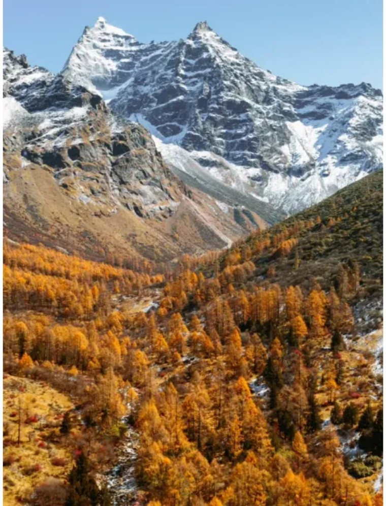 1730517168393482.jpeg mmexport1730516392420_hZICtmNV65.jpeg