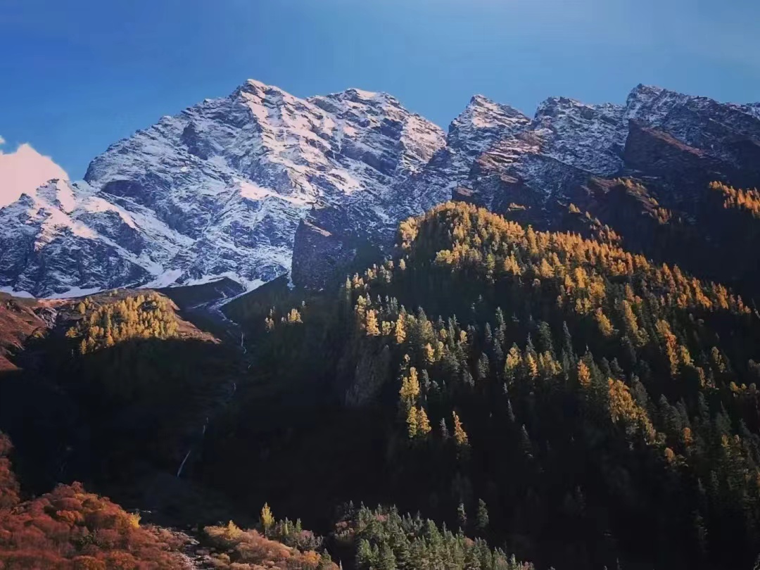 1730517176610448.jpeg mmexport2e058ec2b9f433db0fc98afb7966ac0c_1730516378080_mrGmsnnk8L.jpeg