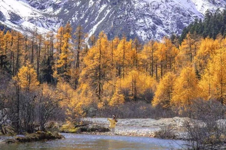 1730517202632524.jpeg mmexportc37ad61980c504b3cf09f3f243875760_1730516225232_gNHgAgK85D.jpeg