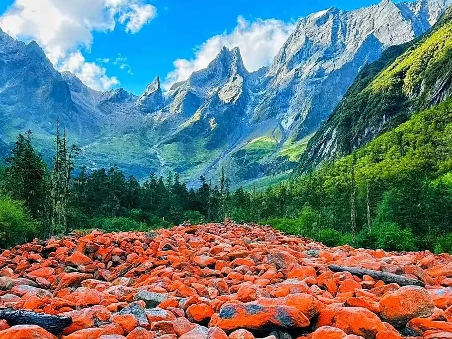 1730517241128858.jpeg mmexport1e7b60b79d420f36b3b402bd4fc23a71_1730516229442_XCWJOyeI51.jpeg