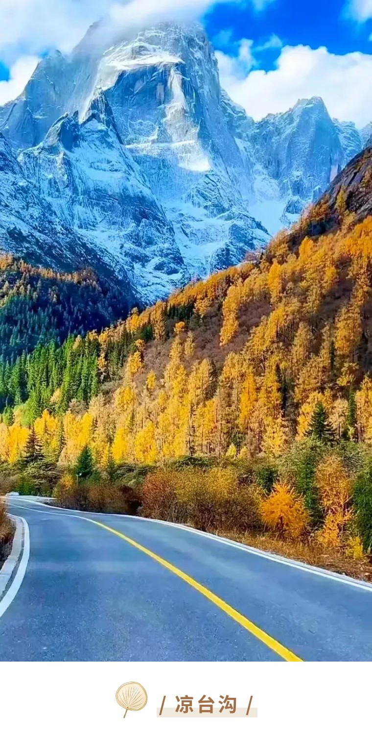 1730517375431006.jpeg mmexport1730516400355_JUbxJvIa2J.jpeg