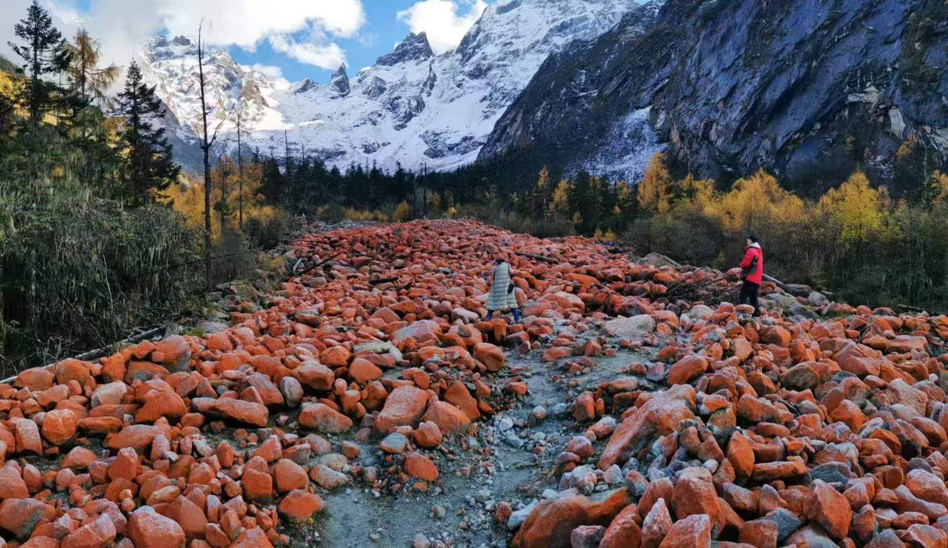 1730517418191190.jpeg mmexport1730516417748_vKVTS9Vh1O.jpeg