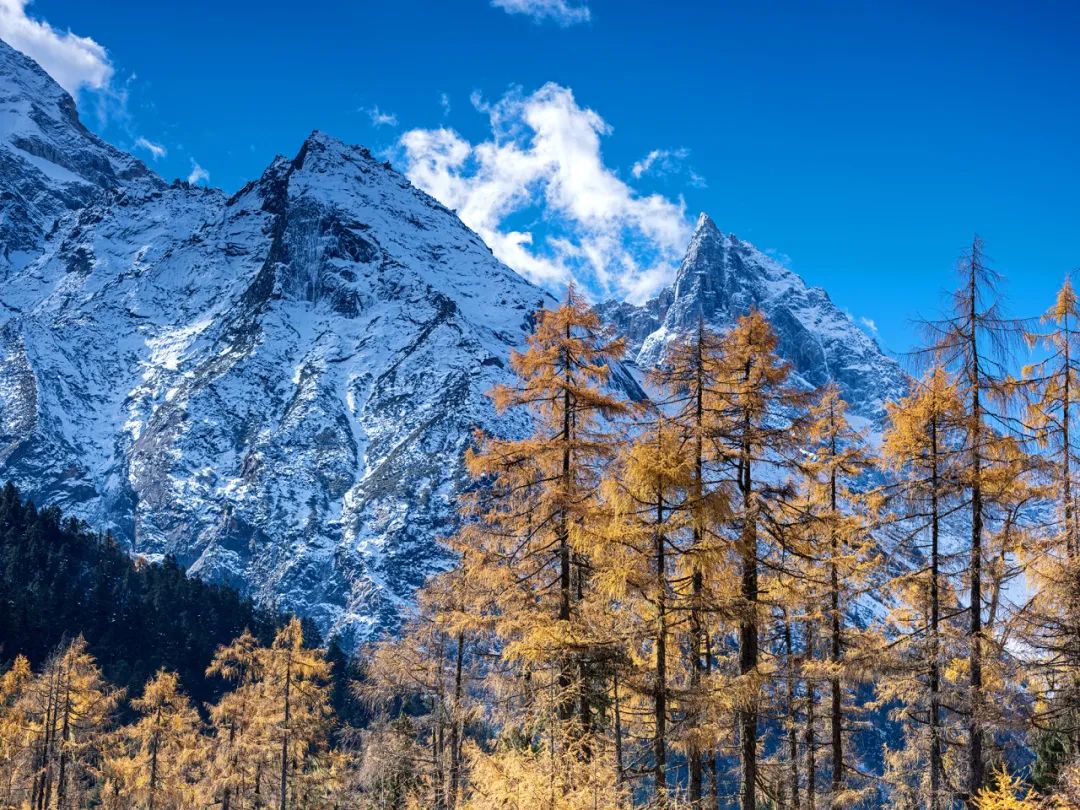 1730517451665529.jpeg mmexport4a3afde4ed31210c1e9eb4d6e1101065_1730516231741_ztUwk1Pq3n.jpeg