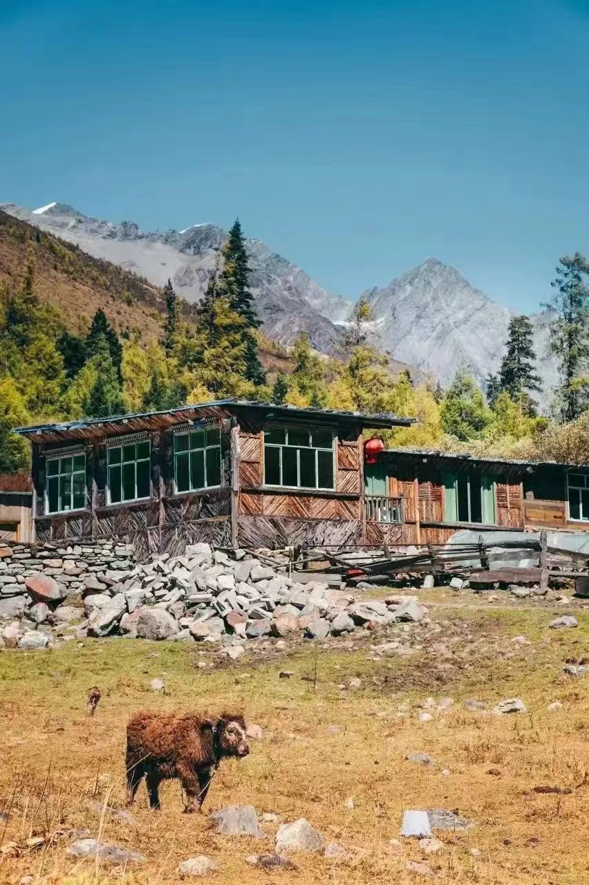 1730517567323555.jpeg mmexport94baa9fee23c6edbb19b0bbcb9038aed_1730517512468.jpeg