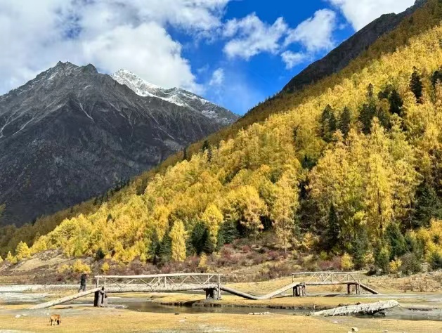 1730517601133725.jpeg mmexporte56bf59a762b1c34b7ef5398252090e8_1730517519841.jpeg