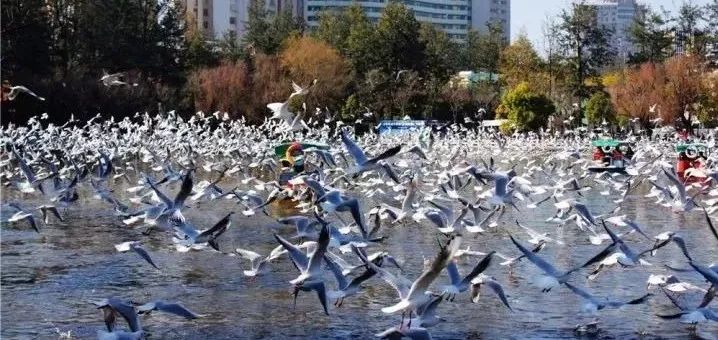 1734011270140563.jpeg mmexport61fa52de9b2b7f0a10bea0e5001284d7_1734010.jpeg