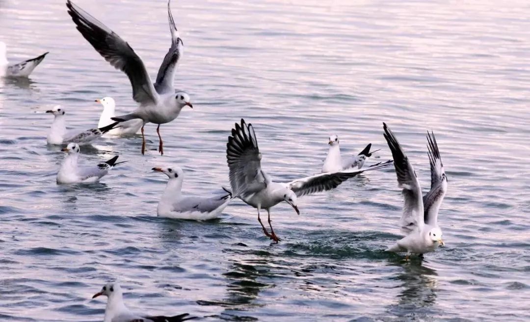 1734011281120919.jpeg mmexport8d3389c902b1e331408eab7923663656_1734010.jpeg