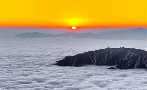 1734317161113070.jpg mmexport136303a1028ce8c01722b8d0832a0395_1734316.jpg