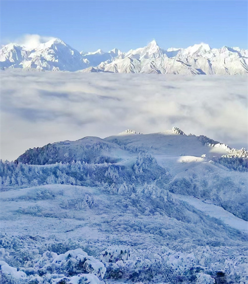 1734317351988612.jpg mmexportfd86c2dc45885ca83d4d9ecdb3c0387e_1734316.jpg