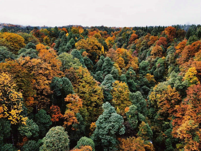 1762577275427606.jpeg mmexport32912cd648dcd1650ca013b3541cc94d_1762575533078.jpeg