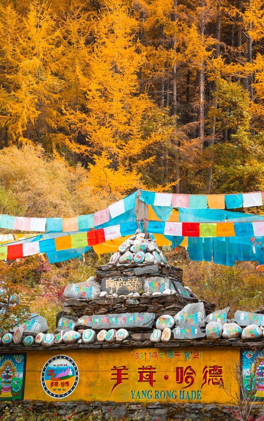 1762661311283665.jpeg mmexport096f1f3934b00f960242d3835af97fe2_1762661265514.jpeg