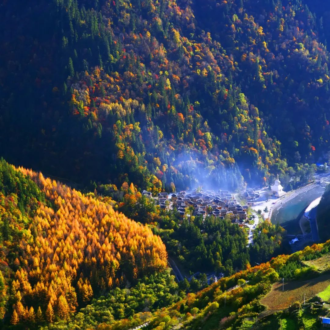 1762661321686184.jpeg mmexport46e47e9d7e621e64f88c8dd202d9bd70_1762661262648.jpeg