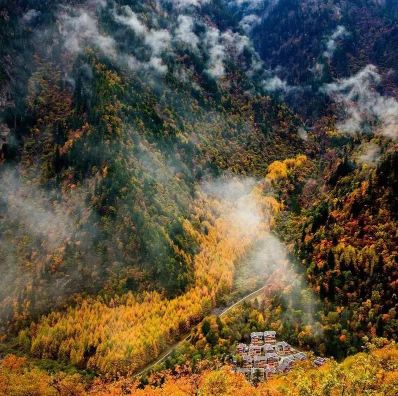 1762661331139250.jpeg mmexport51711ed8e0ad5ff721fb0b0cf526b58f_1762661249885.jpeg