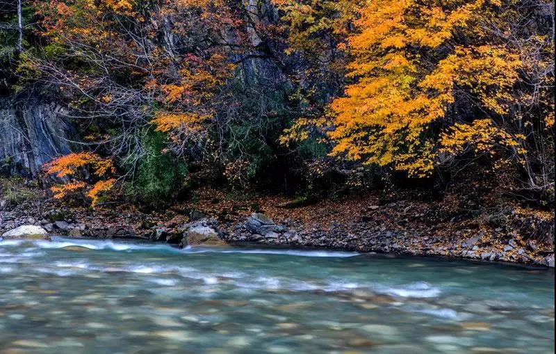 1762661348939728.jpeg mmexport4885598eeb516e0c9b14f0c741576ff2_1762661271690.jpeg