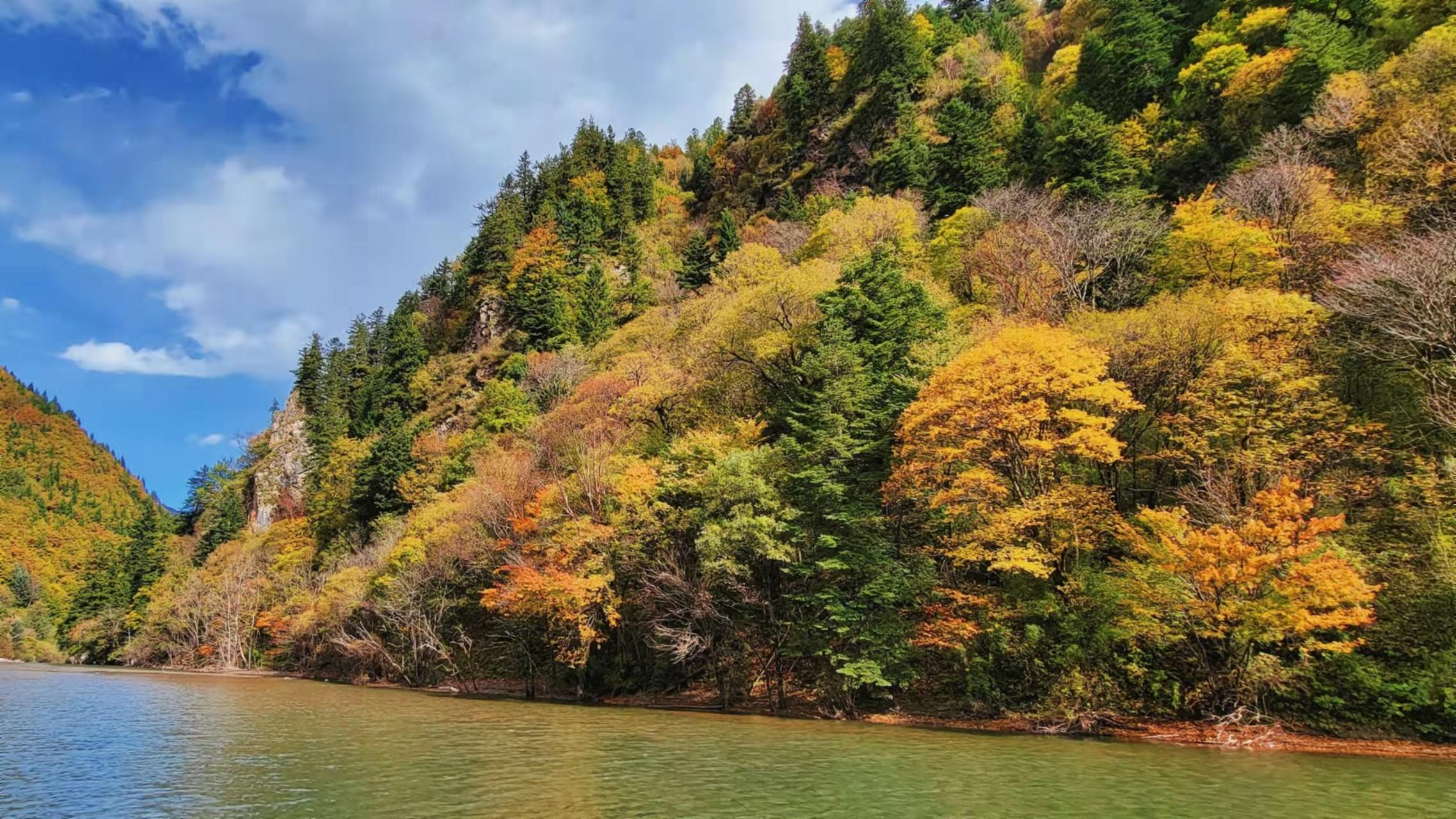 1762661362534669.jpeg mmexport702ab502ea1751374b70e8339b16e135_1762661200681.jpeg