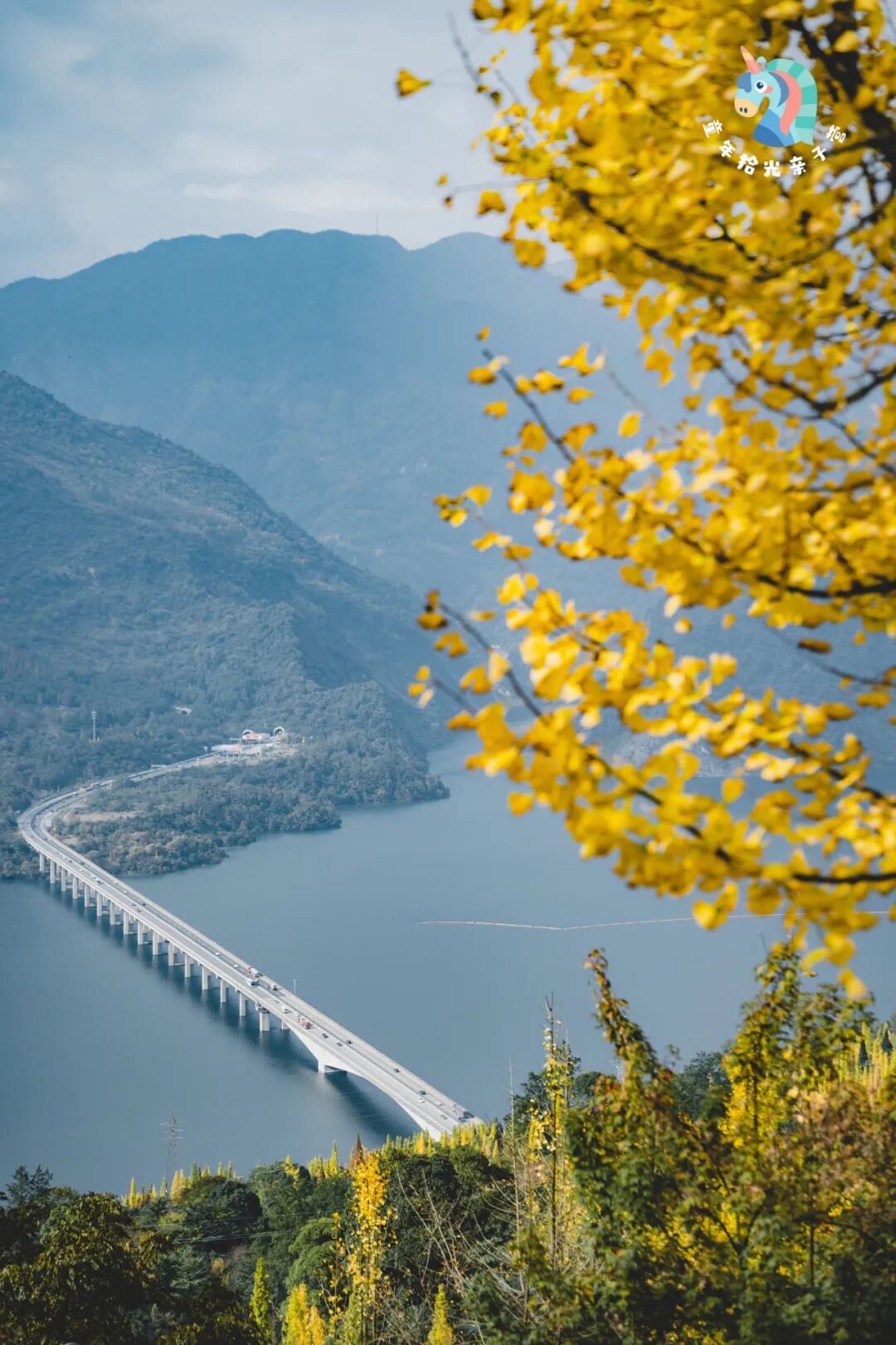 1763616912104631.jpeg mmexport79c714978c27e43abdd5ab9d57f07dd0_1763615934272.jpeg