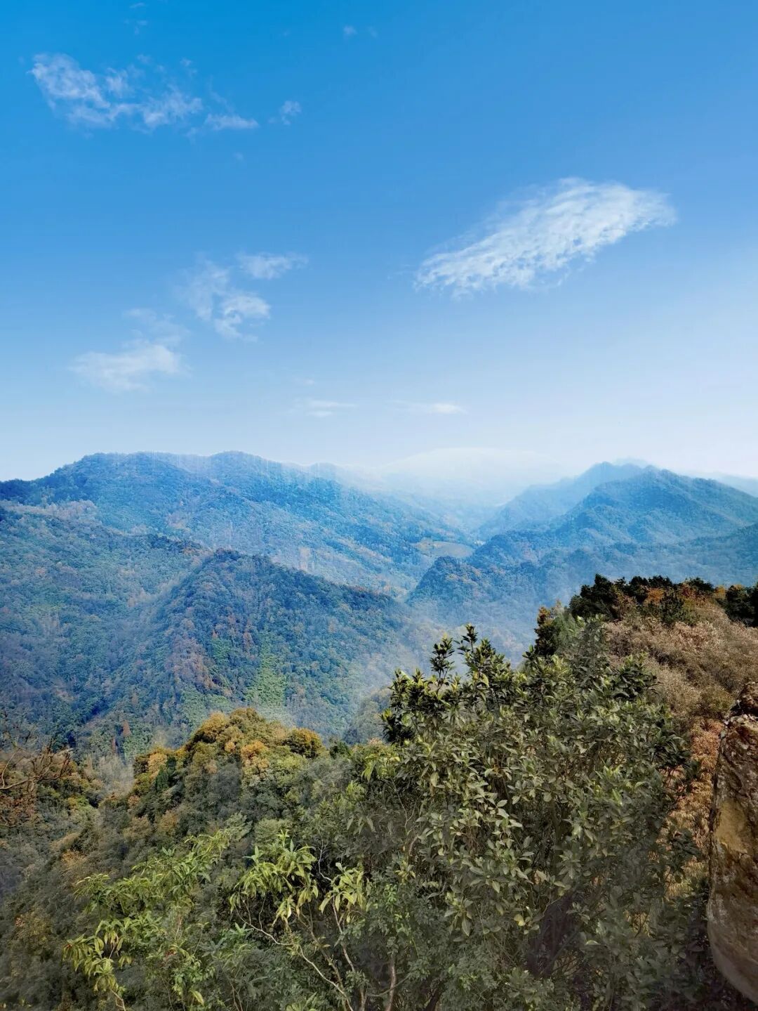 1764746987121543.jpeg mmexport561e66338e092536f01f7d351b097474_1764745277267.jpeg