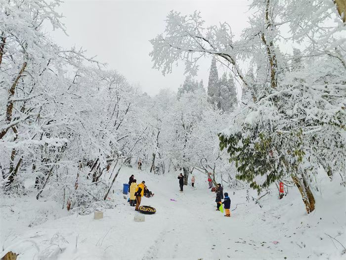 1769308452122472.jpg mmexport1769307861974.jpg