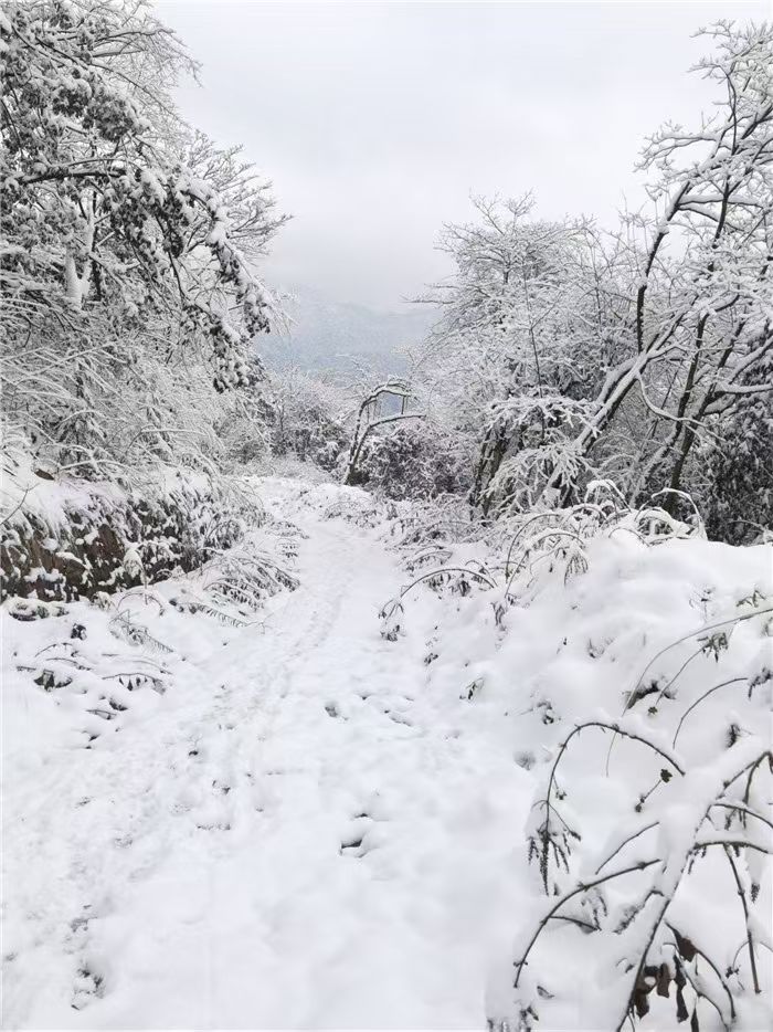 1769308464590611.jpg mmexport1769307858159.jpg