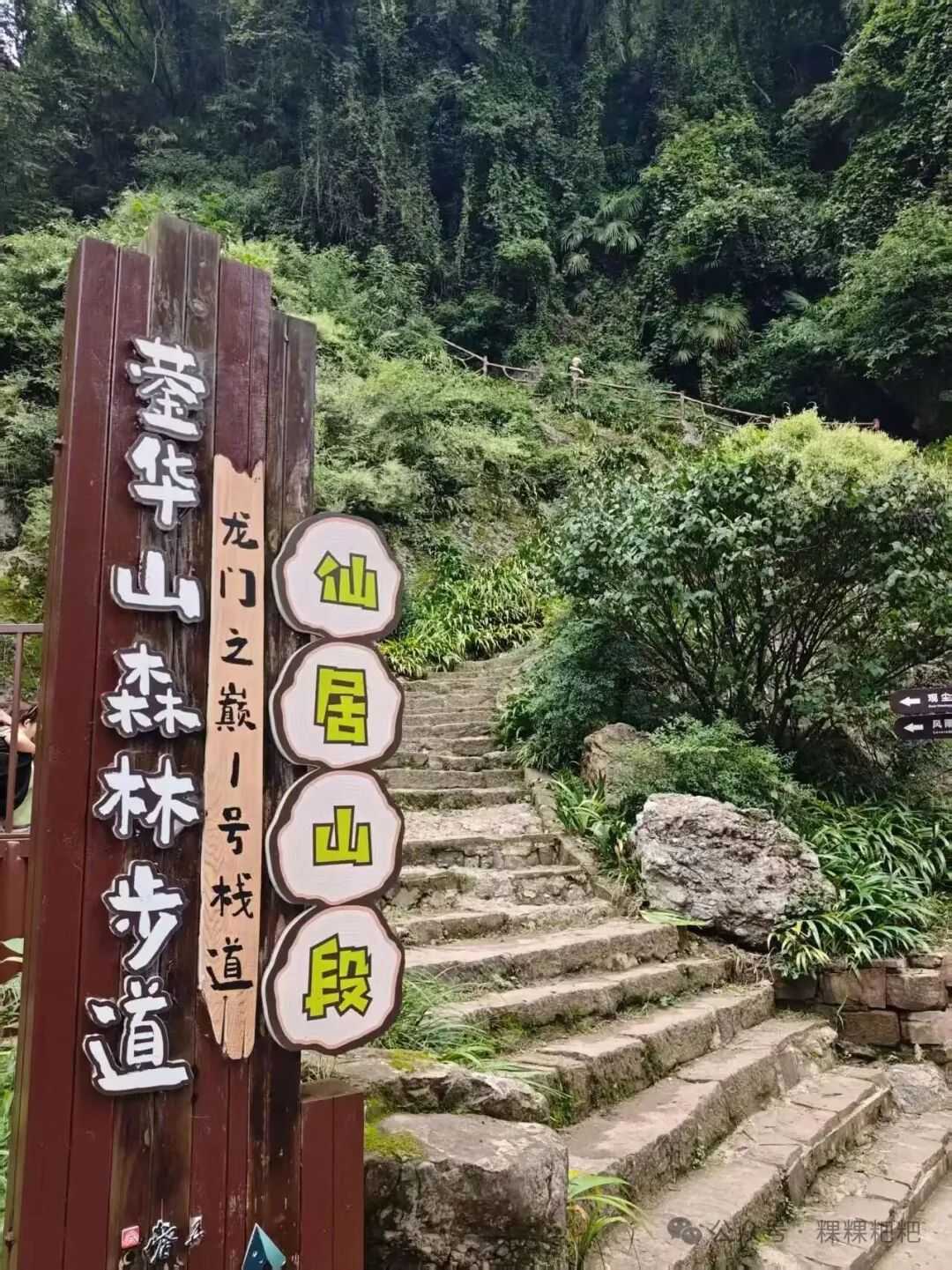image_1791104127269.jpeg