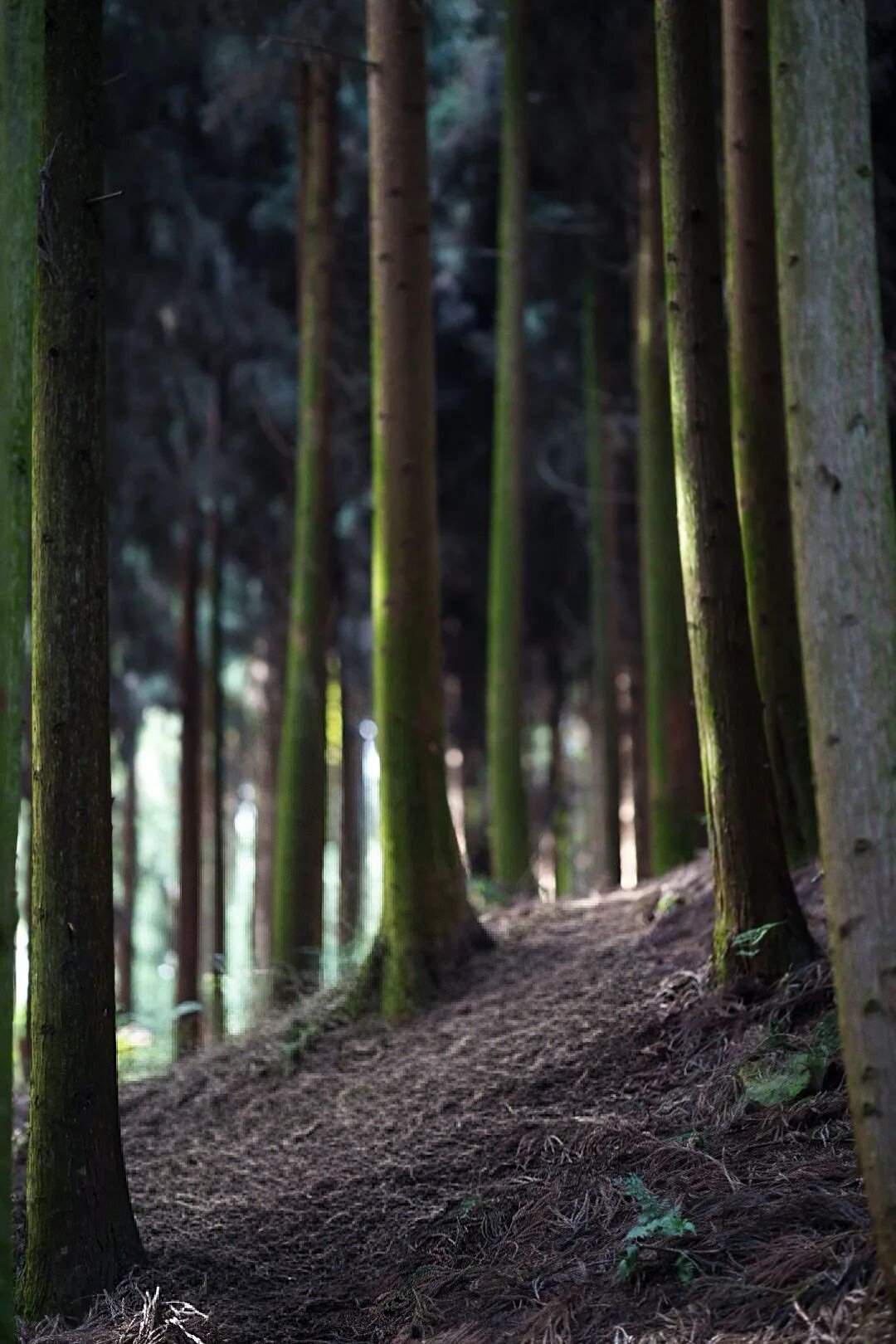 IMG_1462.jpeg