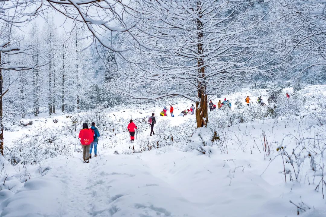 ��������1��21�գ������������� ϴ����ˣѩ.��˵�е�ɳ�ӹ�