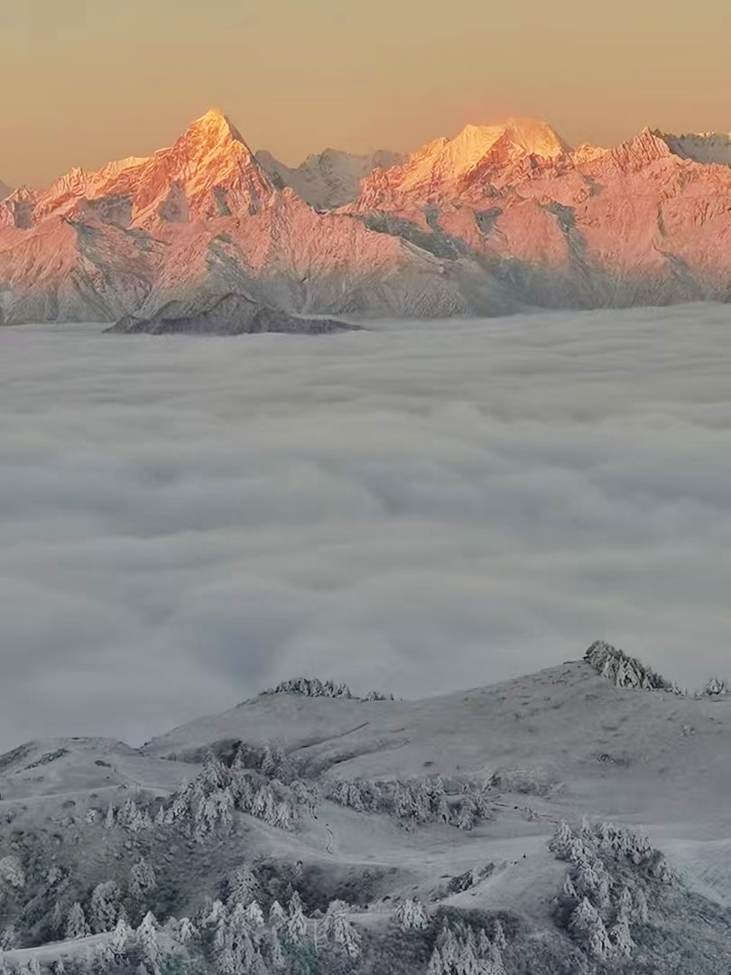 1733292573147599.jpg 70.jpg