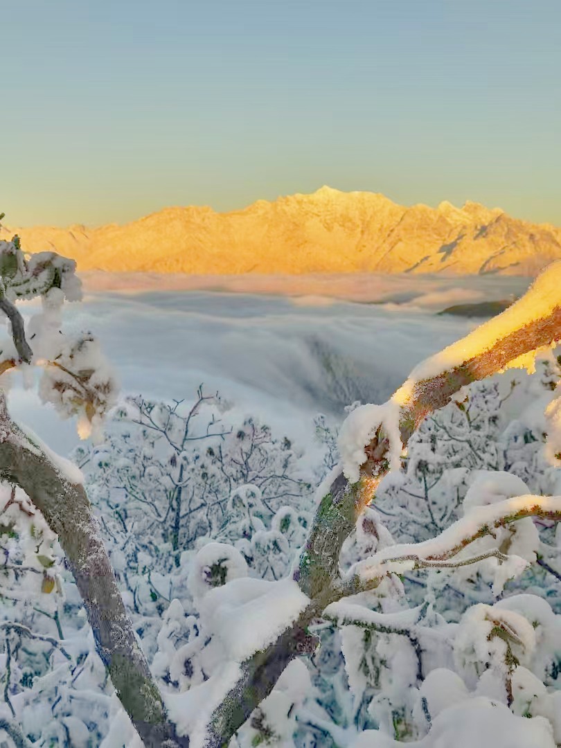 1733292675645907.jpg 71.jpg