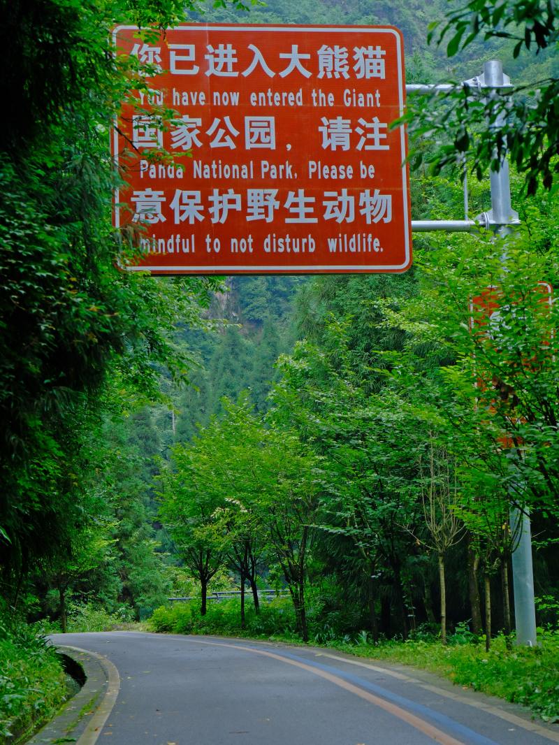 DSCF7267.JPG